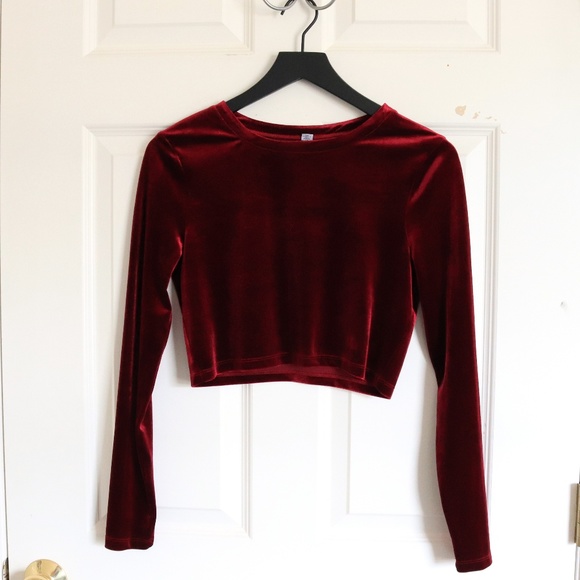 Lord & Taylor Tops - ⚡FLASH SALE⚡Small Lord & Taylor Velvet Crop Top